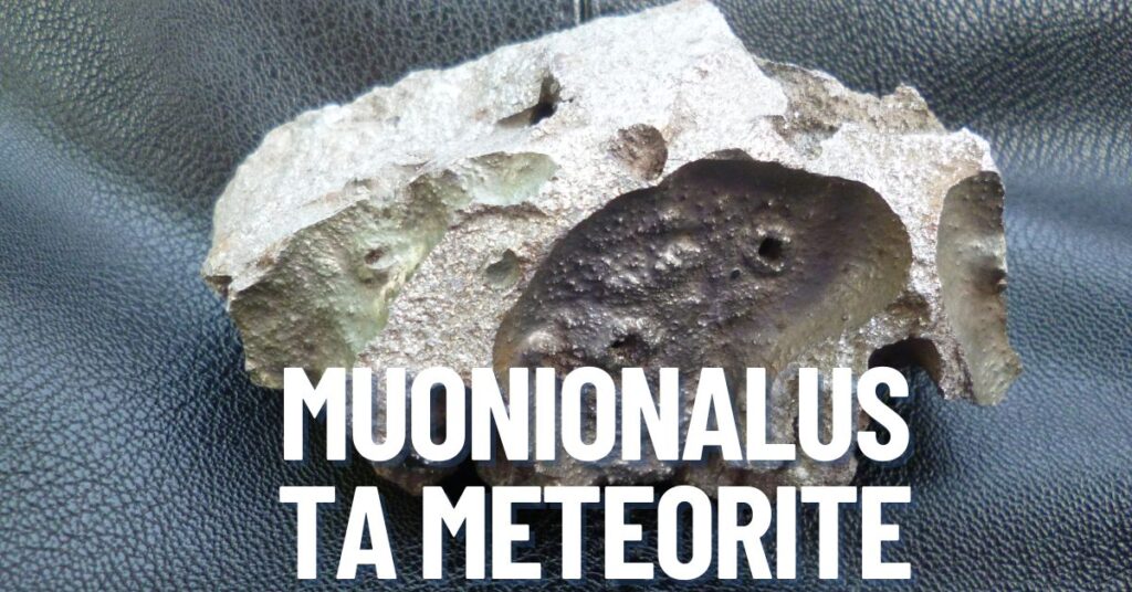 muonionalusta meteorite